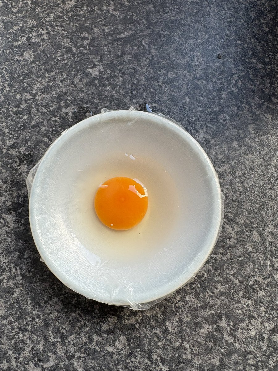 9ailiall's tweet photo. tried to fry a quails egg without oil by air frying on a cut out piece of rice paper but surprisingly (!) it didnt work 😷#mylifeisaCurse https://t.co/81o7Jm7cYq