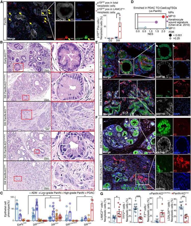 Cancer_Cell tweet picture