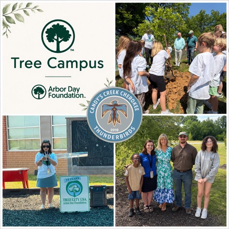 clevecityschool's tweet photo. Candy’s Creek Cherokee Elementary has been named a 2025-2026 Tree Campus by the Arbor Day Foundation! 🌳
Congrats to Mrs. Lay, Principal Sara Whitener, students, staff, families, PTO, and community partners on this special recognition.
#BuildingChampions #BuildingCommunity https://t.co/TIjqZldVzZ