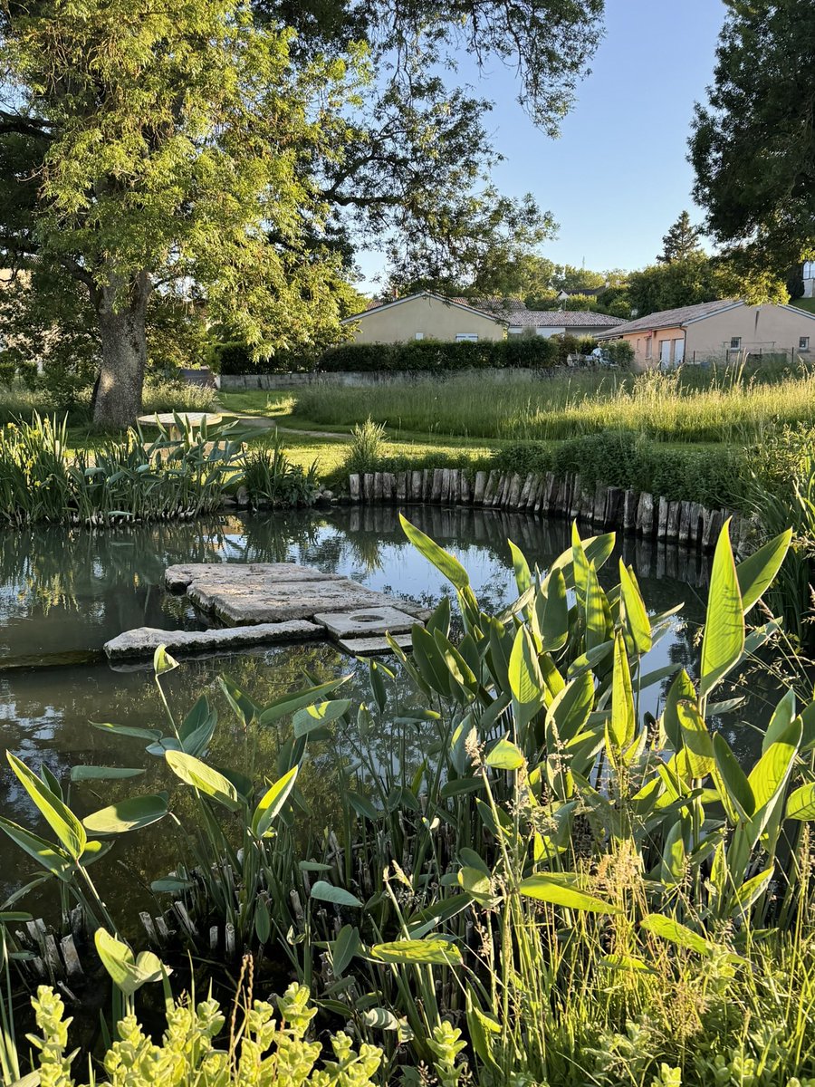 aesriese's tweet photo. les canards qui se rajoutent au décor https://t.co/q4z7O9Gi1Q