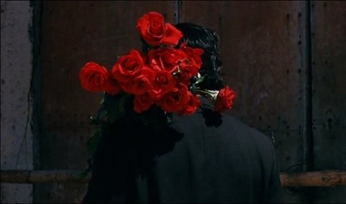 poshdelrey's tweet photo. der rosenkönig (1986); dir. werner schroeter https://t.co/8vVvMA7u1T