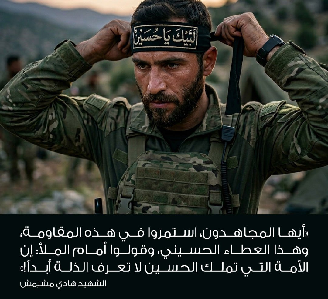 ali ali tweet media
