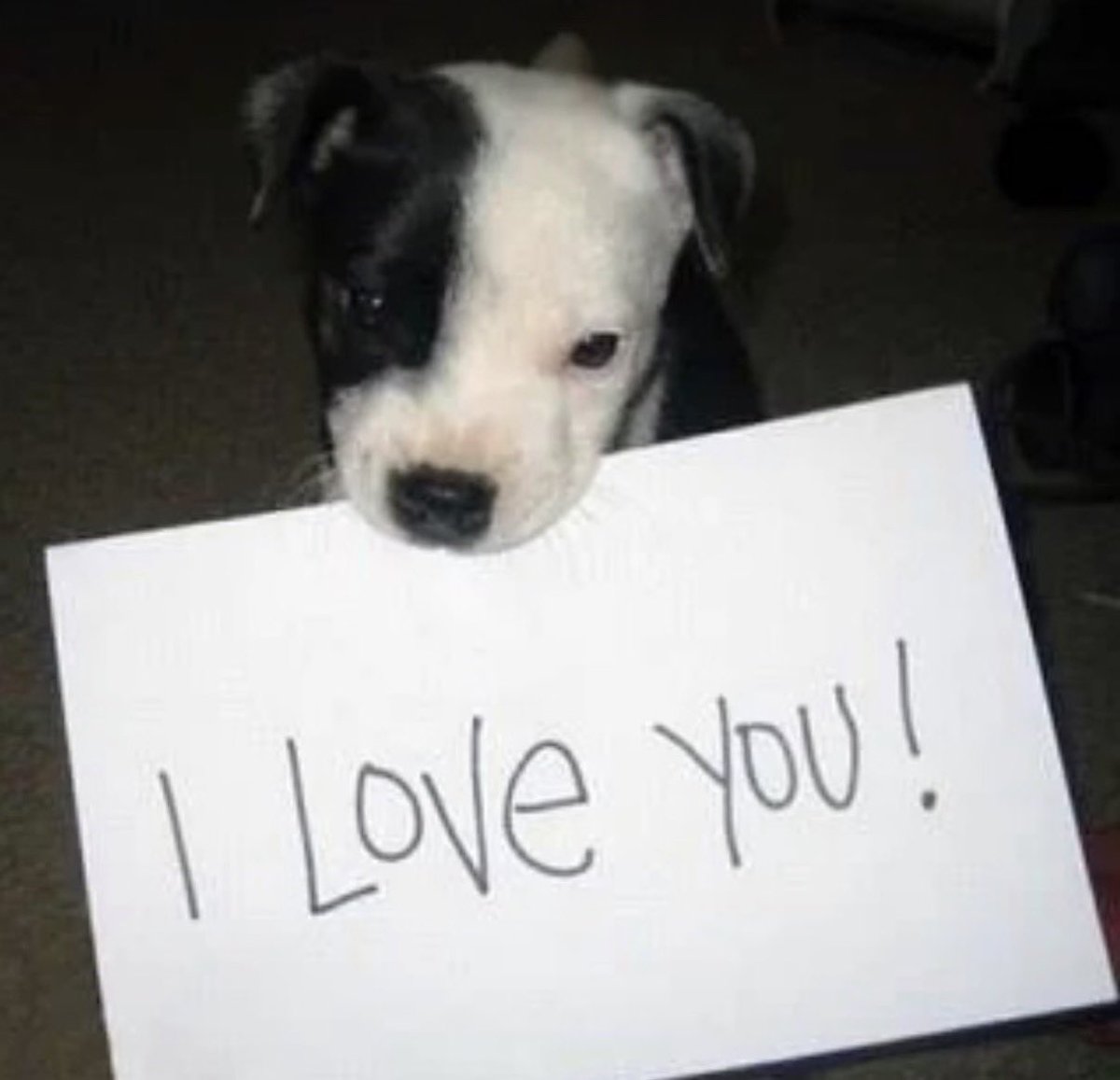 twaniimals's tweet photo. https://t.co/hspRh5acBP