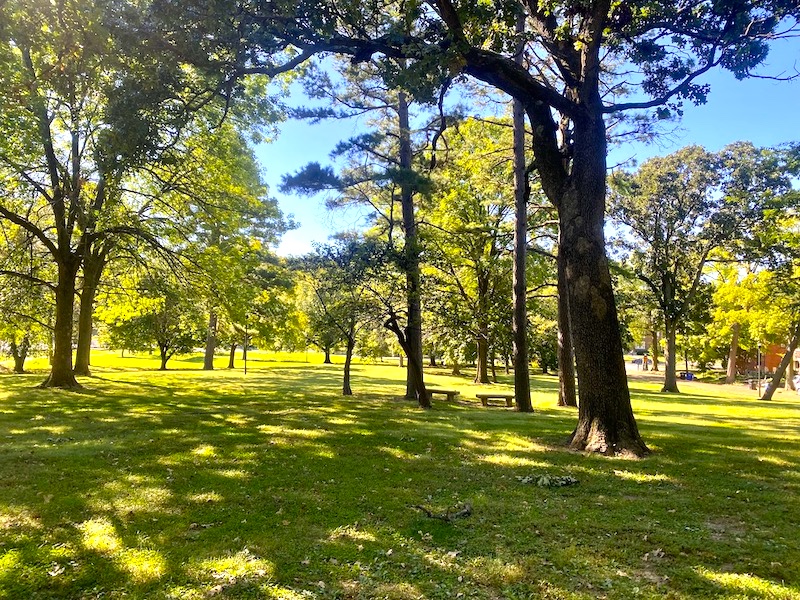 thatawaydad's tweet photo. Flynn Park, in University City, Missouri, is surrounded by Tudor- and brick-style homes and filled with large, leafy trees. MORE AT: https://t.co/Mn9PgtIJ38 https://t.co/iuAsWf7y8J