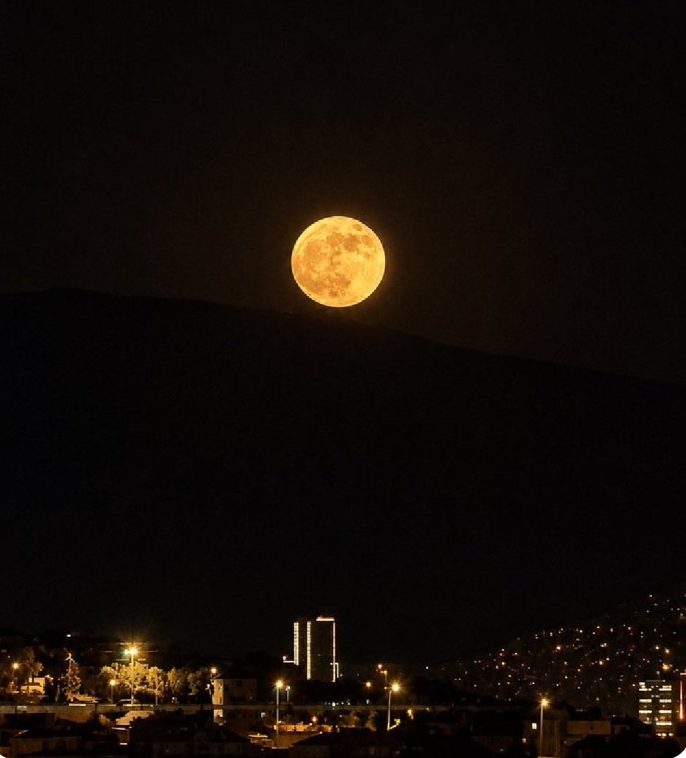 SemaEski180800's tweet photo. Ay geceye muhtaç, gece ise ona aşık.🌜🌛
#Mutlugeceler
#GeceyeBirSöz https://t.co/LFV32ErplP