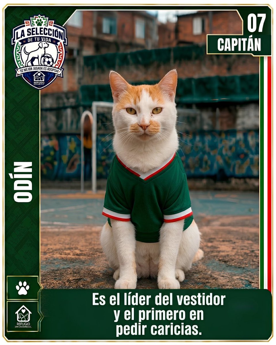 GregorioRefugio's tweet photo. @ClaroSports El partido más importante es el que juegas todos los días en casa 🐾⚽
#LaSeleccionDeTuVida tiene a sus mejores fichajes esperando encontrar un hogar donde ver cada tiempo contigo 🏠🐶🐱
Conoce a todo el equipo en https://t.co/LNQuLsZq64 👇 https://t.co/z0Ke5o9VrE