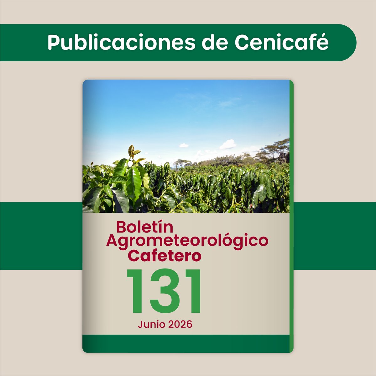 cenicafe's tweet photo. Recomendaciones para el cultivo del café en junio de 2026.

Descargue el Boletín Agrometeorológico Cafetero en https://t.co/vGO5e9eAiI

#cenicafe
@FedeCafeteros https://t.co/E4QO91zWV7