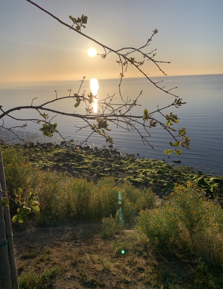 bunk_mike's tweet photo. A #forgiving heart is a heart of gold—not because it excuses the past, but because it frees us to live fully, unburdened by what was. And in that freedom, we become unstoppable🤔 #Photo #Photos #GM #sun #scape #Sunrise #prospective #Enlightenment #Buddha #Peace #life #Wednesday https://t.co/neqUZrUeeZ