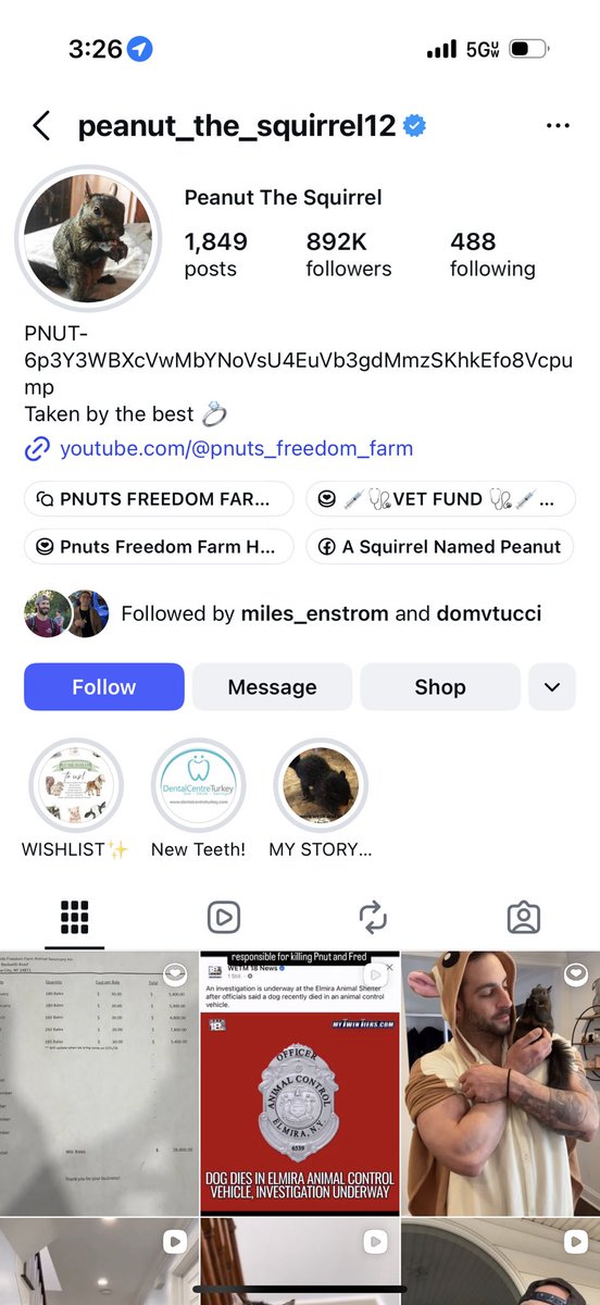 Apollo_Nakamoto's tweet photo. The main instagram for peanut has the CA holy shit $Pnut https://t.co/hhIkGGyjFl