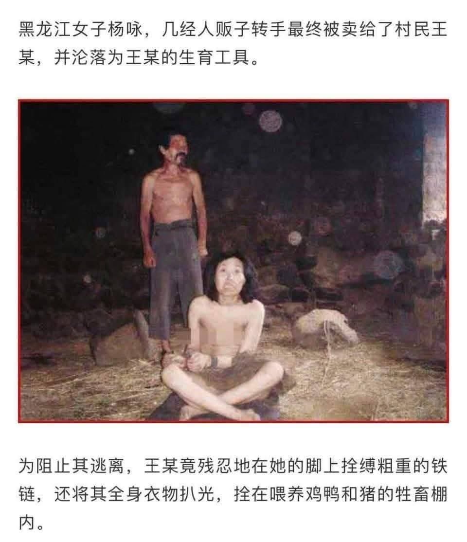 悉尼閑人 tweet media