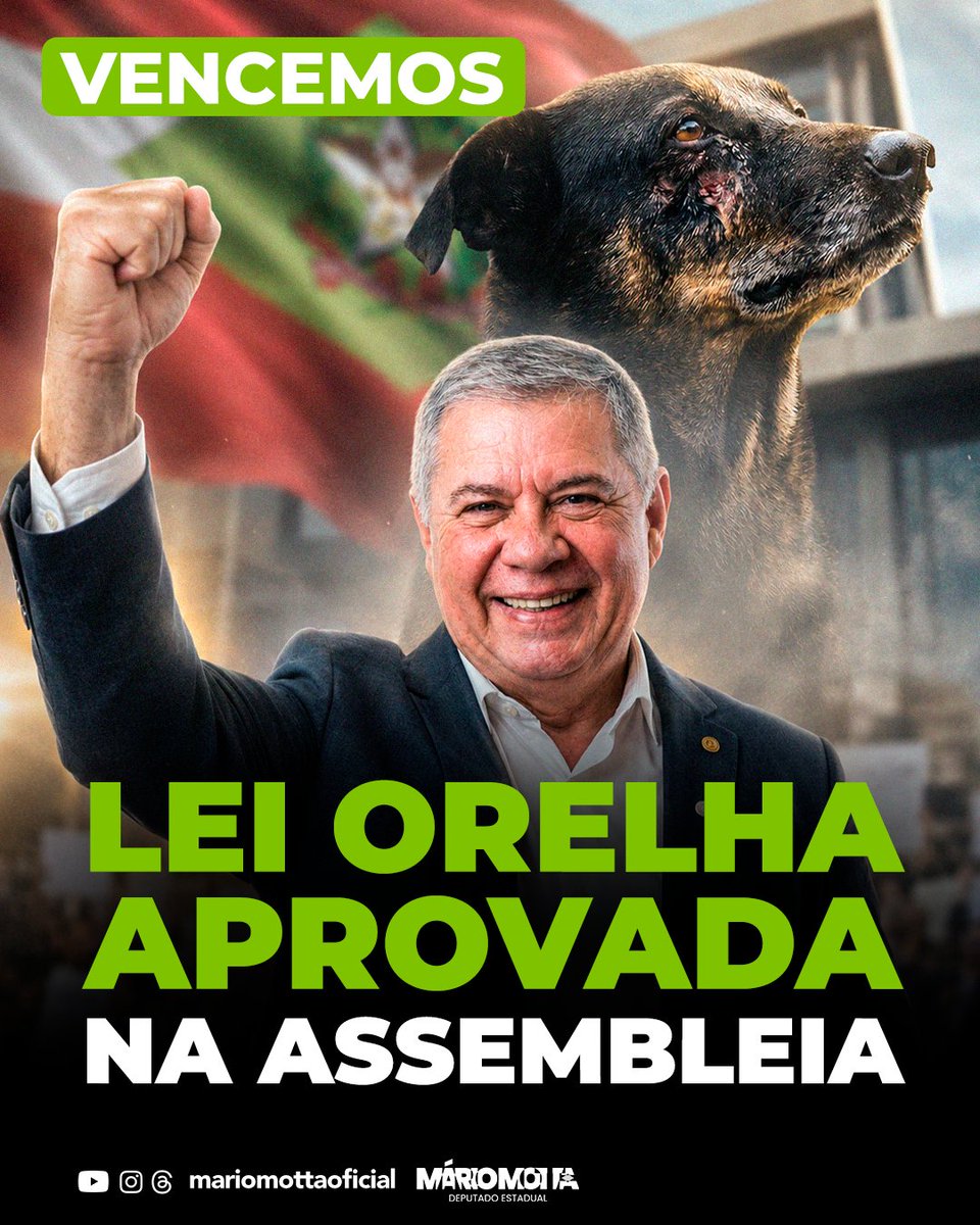 depmariomotta's tweet photo. NOSSA LEI ORELHA FOI APROVADA

Desde o dia em que o Orelha foi embora, eu disse: a vida dele não vai ser em vão. Hoje, essa promessa se cumpriu.

A nossa Lei Orelha foi aprovada na Assembleia Legislativa de Santa Catarina. Ela endurece as penalidades para quem maltrata animais e responsabiliza pais e responsáveis quando os maus-tratos forem cometidos por menores de idade.

Porque é a impunidade que faz isso continuar acontecendo.

O Orelha viveu dez anos na Praia Brava. E independente do que aconteceu, graças à nossa lei, ele será um marco na luta contra os maus-tratos aos animais em Santa Catarina.

Foi um dia histórico graças a todos vocês, que não desistiram!