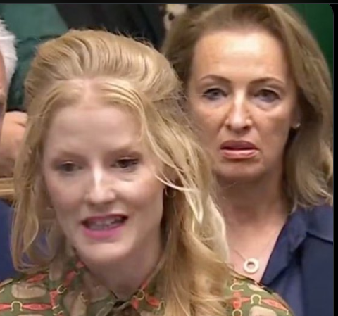 dave43law's tweet photo. After the black and brown faces on TV debacle,  today highlighted Pochin has a real colour problem

She hates GREENS as well 🤣🤣 https://t.co/xDxgtYnLH7