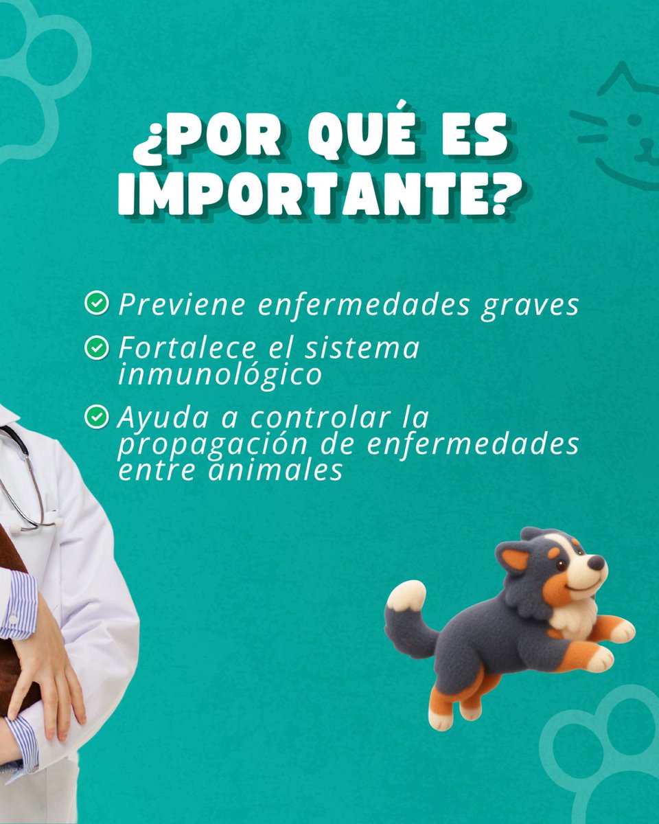HospitalBaranoa's tweet photo. Vacunar a tus mascotas es un acto de amor y protección. Mantén al día su esquema para fortalecer sus defensas y prevenir enfermedades graves. ¡Cuida a tu familia y ama con responsabilidad! 🐾 https://t.co/gqFEfW6gpR
