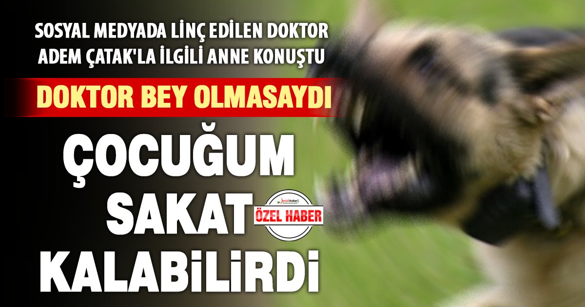 GusoderX's tweet photo. 🔴 | Köpek lobisi, saldırıya uğrayan çocukları kurtarmak için köpeği etkisiz hale getiren kahraman doktoru tehdit etti.

Denizli'de ısırılan çocuğun annesi, “doktor Bey olmasaydı çocuğum sakat kalabilirdi” diyerek doktoru savundu.

Tüm bunlara rağmen köpek lobisi, doktorun köpeği keyfi olarak öldürdüğü yalanını yayarak provokasyon yapmaya devam ediyor.

Köpekçi çeteler tarafından yürütülen bu algı operasyonu toplumu sindirmeye yönelik açık bir terör faaliyetidir. #AdemÇatakYalnızDeğildir 

Olayın tüm detayları: https://t.co/qF7r5F5ajM