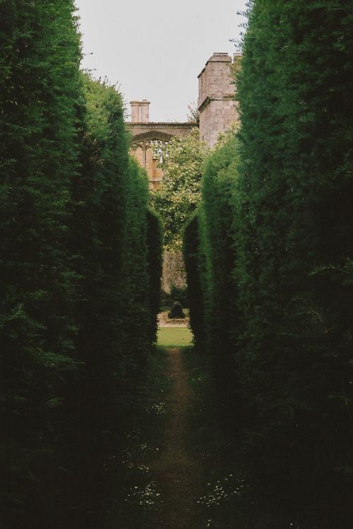 aestheticpost's tweet photo. She disappeared between the green and the green smiled. https://t.co/5NfGb4kd1f