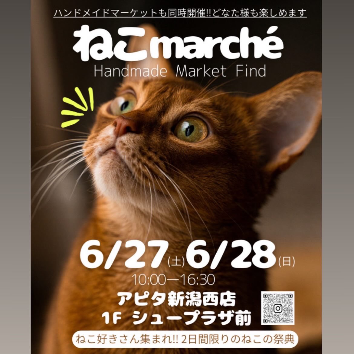 naachu712's tweet photo. ねこフェスの次の週はこちら！ https://t.co/DSSLcIbUW5