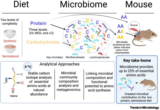 Trends in Microbiology tweet media