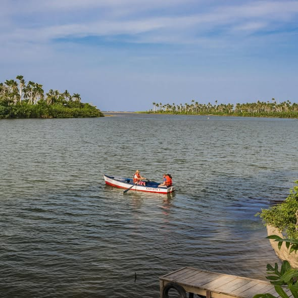 MinturCuba's tweet photo. ✨ Menciona a la persona con la que irías a un paseo en bote.En el Río Toa tienes la oportunidad de vivir una experiencia inolvidable rodeado de naturaleza y buena compañía. 🌿

#Cuba #CubaTravel #CubaUnica #VacanzeACuba #RioToa #NaturalezaCuba #CubaQuierePaz https://t.co/fbudazeJSG