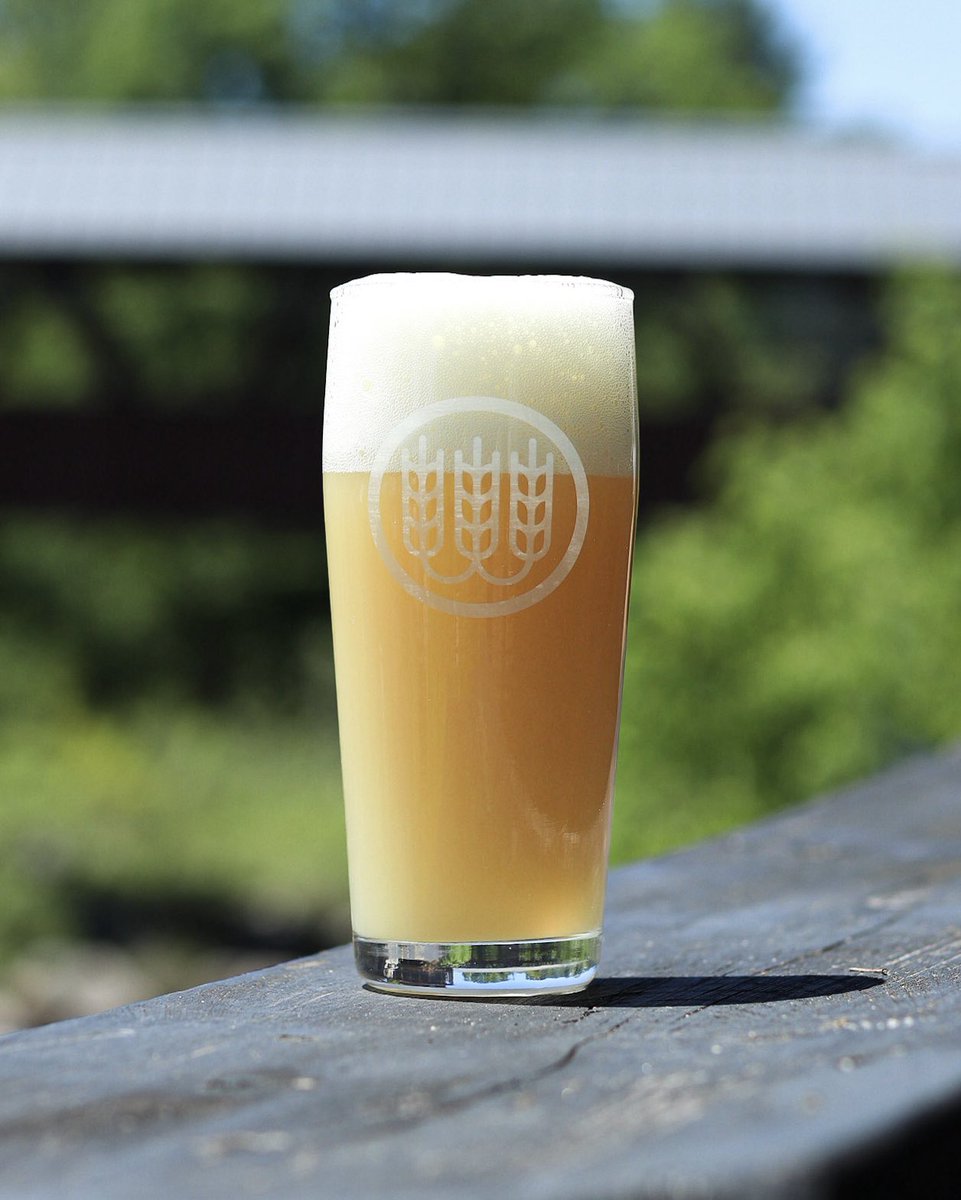 SchillingBeer's tweet photo. Kinsman IPA, named for the iconic Kinsman Range and waterfalls of the White Mountains, is hopped with Citra Cryo, Cascade &amp; Idaho 7. Notes of apricot, citrus, berries, mango &amp; tropical fruit balance a refined bitterness. 7% ABV. Returns Friday. https://t.co/c03yvlJ7nH