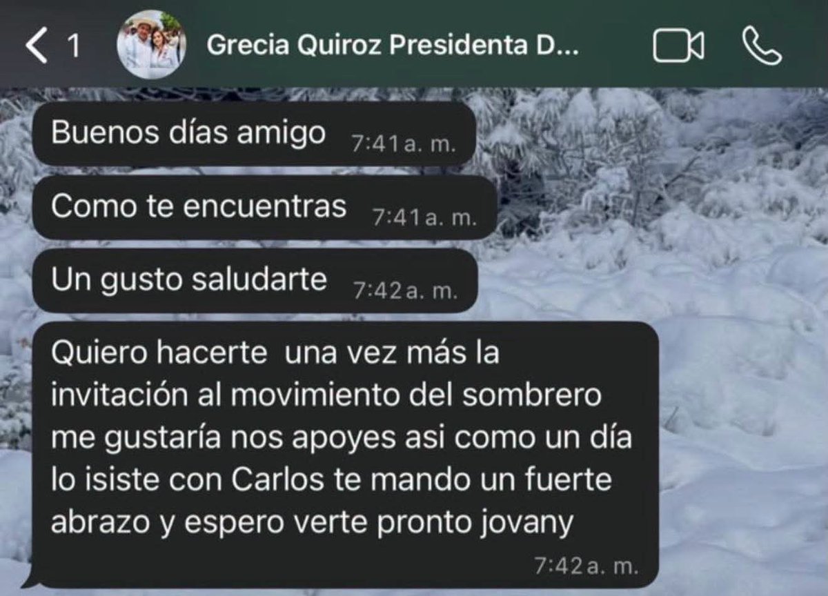 Grecia Quiroz Michoacán 2027 tweet media