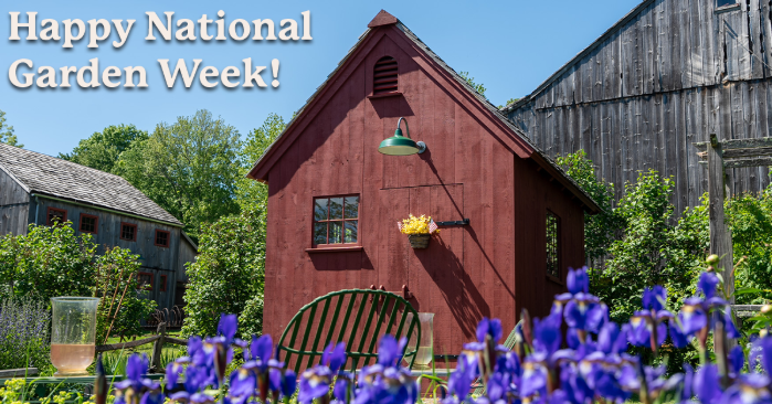 PostBeamBarns's tweet photo. Happy #NationalGarden Week! 🌿🌻

There’s nothing quite like watching a garden come to life alongside the timeless look of traditional post and beam woodwork. They just belong together.

Happy planting! What’s growing in your garden? https://t.co/E3OnT9ompc