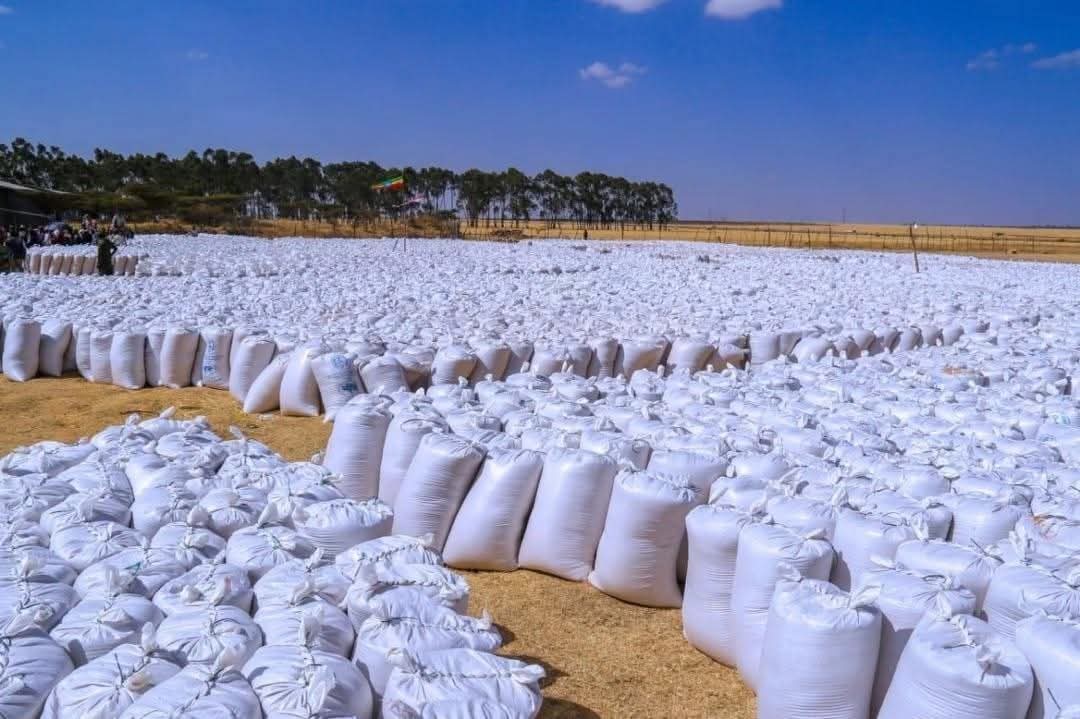 BuonyChol2595's tweet photo. Ethiopia is on journey of encouraging demostic production of enough food for it's industrial product and food sovereignty which are of upbringing of import substition policy. 
#visitEthiopia
#visitAddis
#visitOromia https://t.co/icQMbrCKHM
