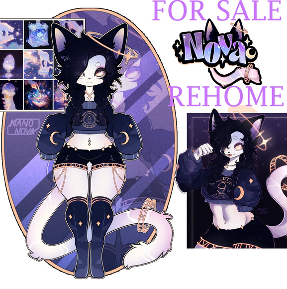 ApathinaVT's tweet photo. Rehoming lots of OC's with some biig discounts!~ 
https://t.co/tnp8xjKanS https://t.co/p6TeB5r2td
