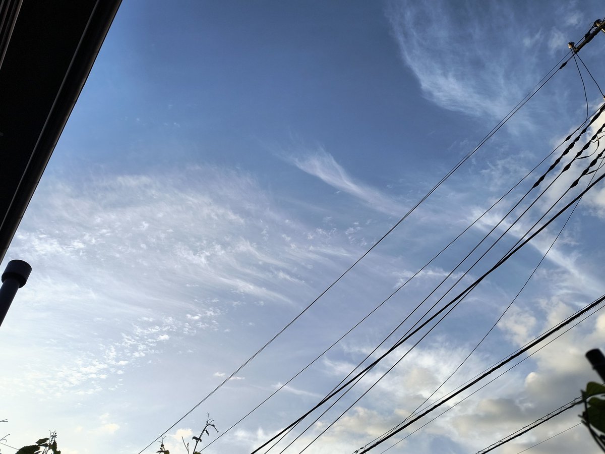 frogdiy's tweet photo. おはようございます。
久しぶりに、朝からの青空です☀️ https://t.co/6muLwzgio4