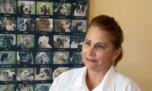 InfAvilmat's tweet photo. Teresa: tenacidad, ciencia y esperanza. Desde los campos de Pinar del Río hasta la dirección de Biotecnología en Cenpalab, Teresa encarna a esa Cuba que no se rinde.
@PaulinoPrezVie1
@KSantile
#Avilmat https://t.co/o4jxj1xSf2