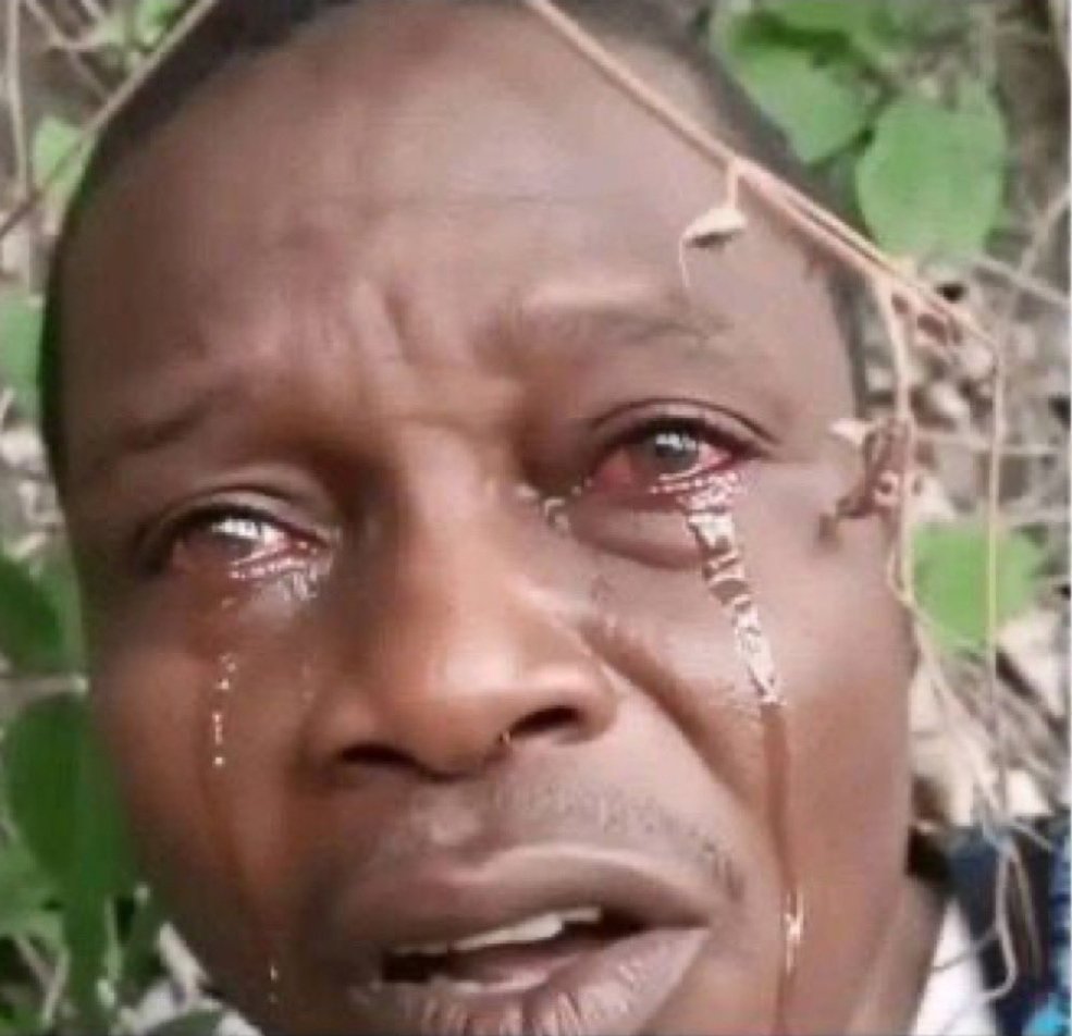 only_psalm's tweet photo. DO YOU WANT TO END INSECURITIES OR NOT ❓️

THERE'S A SOLUTION TO THIS INSECURITIES BUT THE WILL IS NOT  THERE

NOT  FOREST GUARDS 
NOT MILITARY 
NOT CIVIL DEFENCE 
NOT LOCAL SECURITY 

BUT

THE INDIGENOUS YOUTHS OF THE 774 LOCAL GOVERNMENT 

 1 - Arm the the indigenous youths, able bodied men of the 774 local government in Nigeria 🇳🇬 

2 - Declare 4 or one week state of emergency no  coming out , no moving in markets, schools, works closed 

3 - give a direct presidential order,  order the youths of the 774 local  government,  to move into their ancestral forests SIMULTANEOUSLY nation wide, from all fronts,  from all states,  from all villages  simultaneously smoke 🔥 out every single alien 👽 terrorist from their ancestral  forests , without taken any prisoners,  in 48 hours  trust me the job will  be done 

4 - as this is taking place place, all the borders,  all the frontières will be on lock down by the military,  soldiers Navy,  OPERATION SMOKE 🔥 TERRORISTS 

If you follow this instructions manual 

In 48 HOURS THE YOUTH WILL DO THE JOB that will be the endbof terrorists and terrorisms in the geographical space call Nigeria 🇳🇬 

After which immediately, you start the constructions of the GIANT PROTECTIVE SECURITY MONUMENTAL WALLS 🧱 

DO YOU HAVE THE WILL TO END TERRORISTS AND TERRORISMS ❓️

you can't ask youths to fight terrorists will military grade weapons with empty hands and without the full federal and presidential backing ‼️⚠️

Do this instead of terrorists beheading your soldiers daily