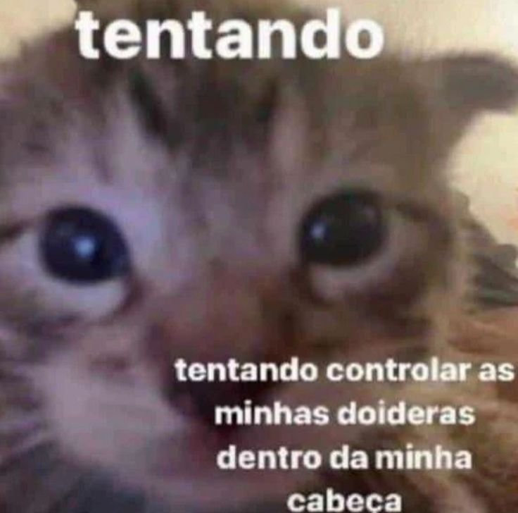lmlookmhee's tweet photo. @jaruarda obv, eu omiti a parte q sou otaria por mulher, eles só precisam saber q eu sou bi msm, nd mais q isso https://t.co/q20WUqpQtc