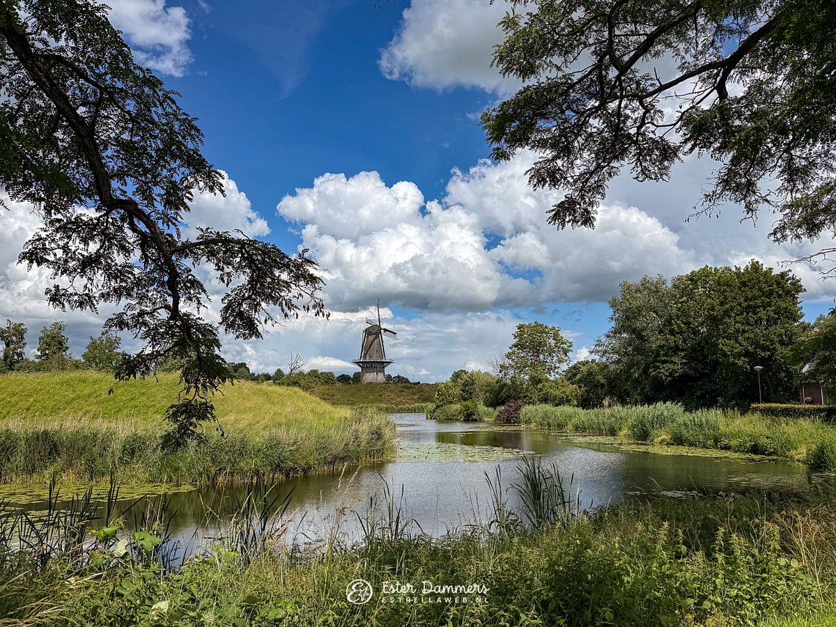 ByEstrella's tweet photo. Vier foto's van #molen 'Nooit Gedagt' in #Woudrichem https://t.co/5tKPy75uW5