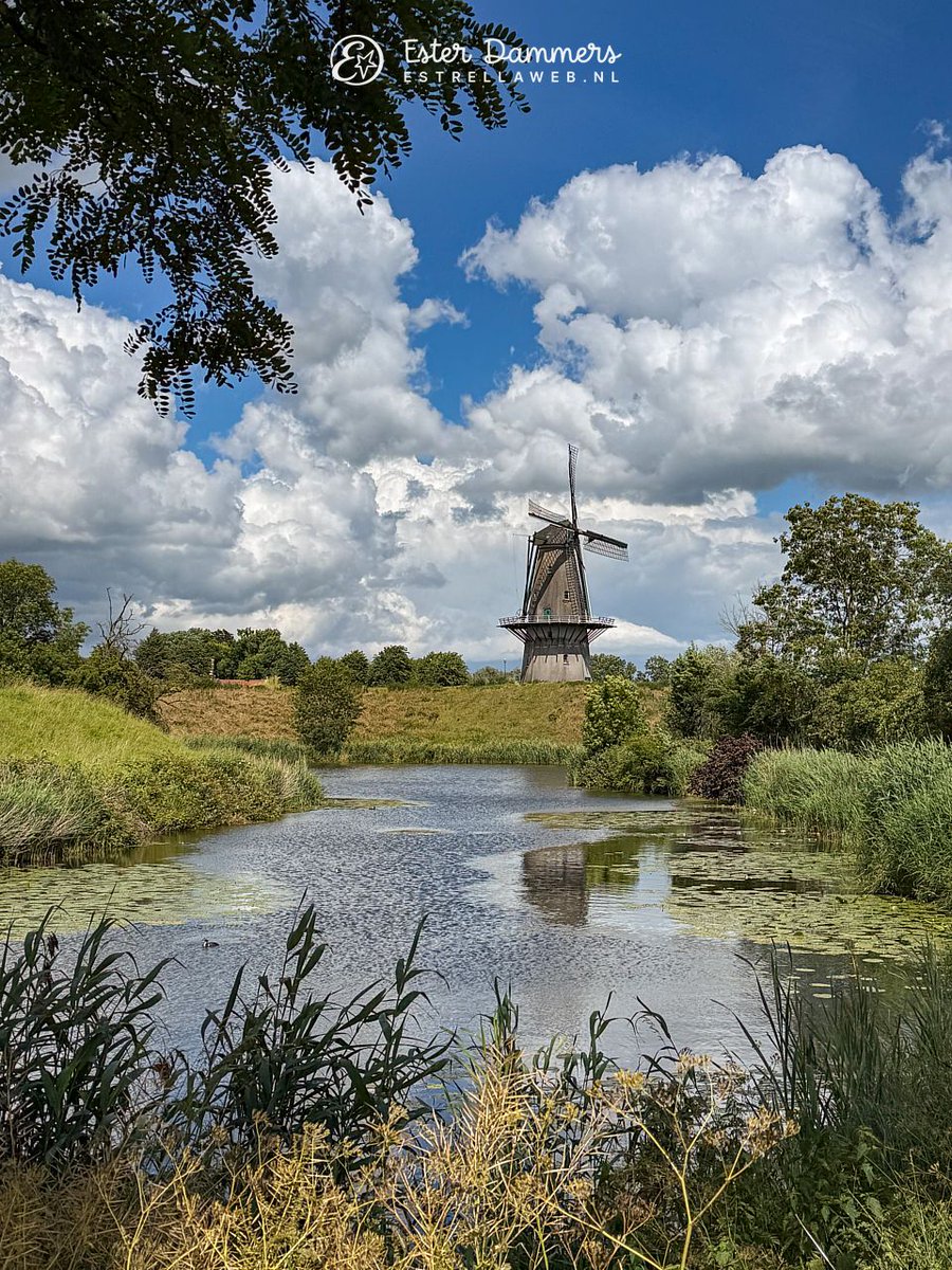 ByEstrella's tweet photo. Vier foto's van #molen 'Nooit Gedagt' in #Woudrichem https://t.co/5tKPy75uW5