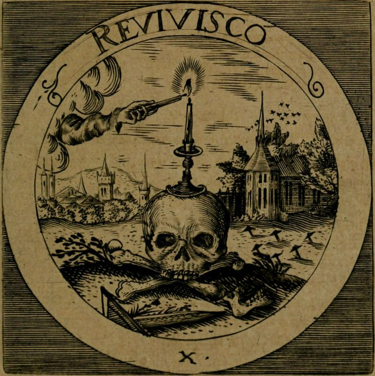 latinedisce's tweet photo. Revīvīscō — “I come back to life.” https://t.co/XmtQum2mL0