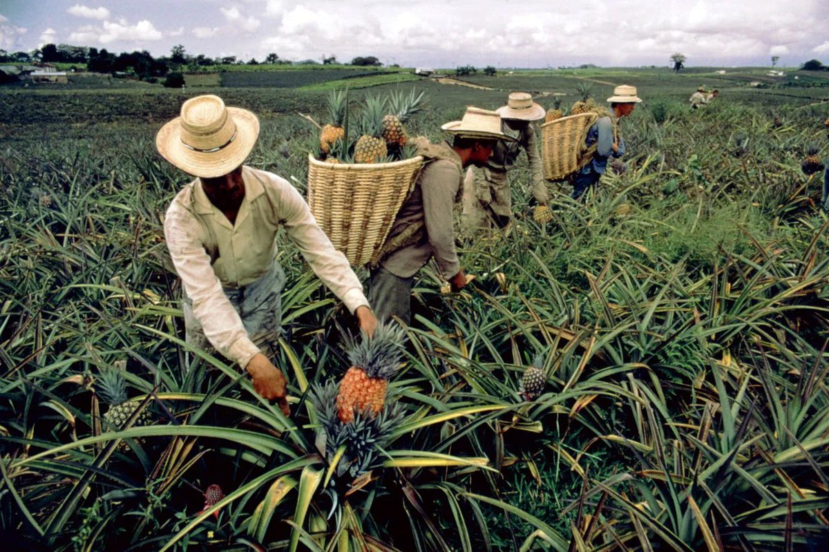 MAGAVitoSpata's tweet photo. They should go back to work instead of living off handouts… https://t.co/PnKPTRPiDb