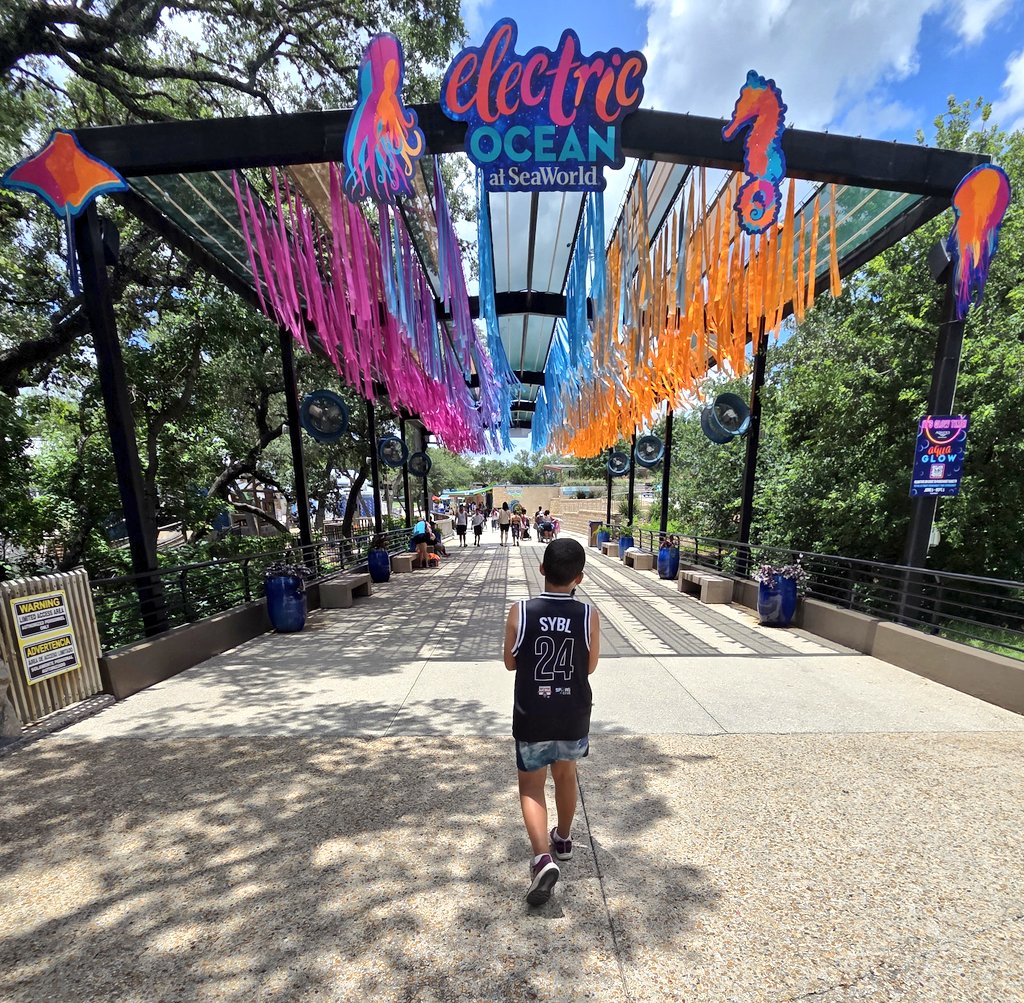 TurnAndBurn210's tweet photo. Birthday season for the #FelderFour! Quattro and Brightness both have them within a week, so it's SeaWorld to kick it off! 🥰 My favorite theme park in the world.
GO SPURS GO https://t.co/9atRgex5H3
