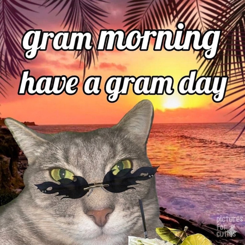 GraMorning tweet picture