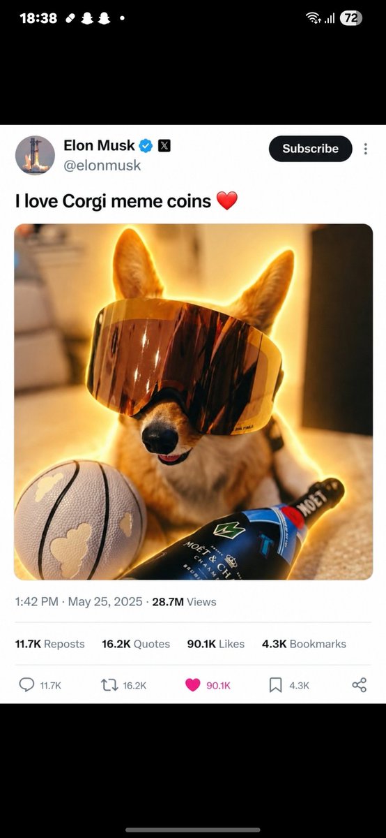 yigitgl15's tweet photo. @cb_doge ??
@grok https://t.co/5otTDZtb7K