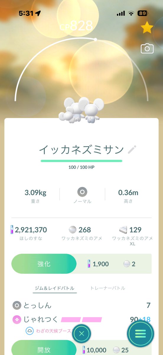 turquoiseblue23's tweet photo. イッカネズミ
の3匹タイプ
ノココッチの
ミツフシタイプ
どの程度珍しいのかな？
#ポケモンGO #イッカネズミ #ノココッチ https://t.co/swbaJpeFMB