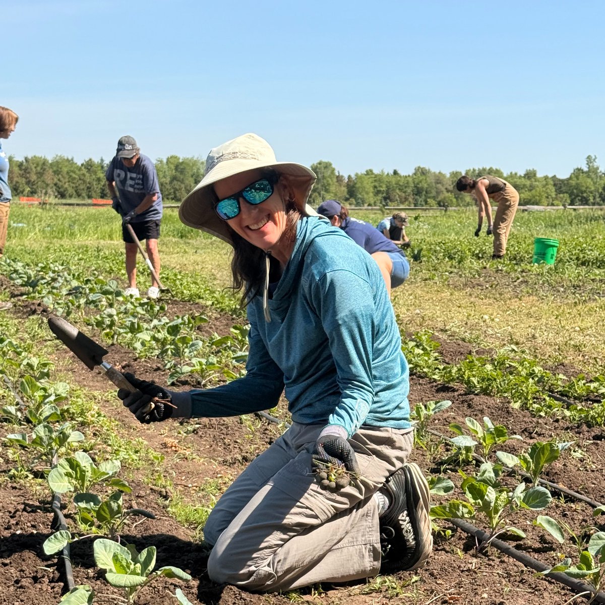 openarmsmn's tweet photo. 🌱 Huge thanks to the incredible team from @bostonsci! Your hard work and energy made a real difference in our Open Farms program. Thank you, Boston Scientific and @HOTC (Laura), for your generosity and dedication. #OpenFarms #OpenArmsofMN https://t.co/W7JjQrwwHl