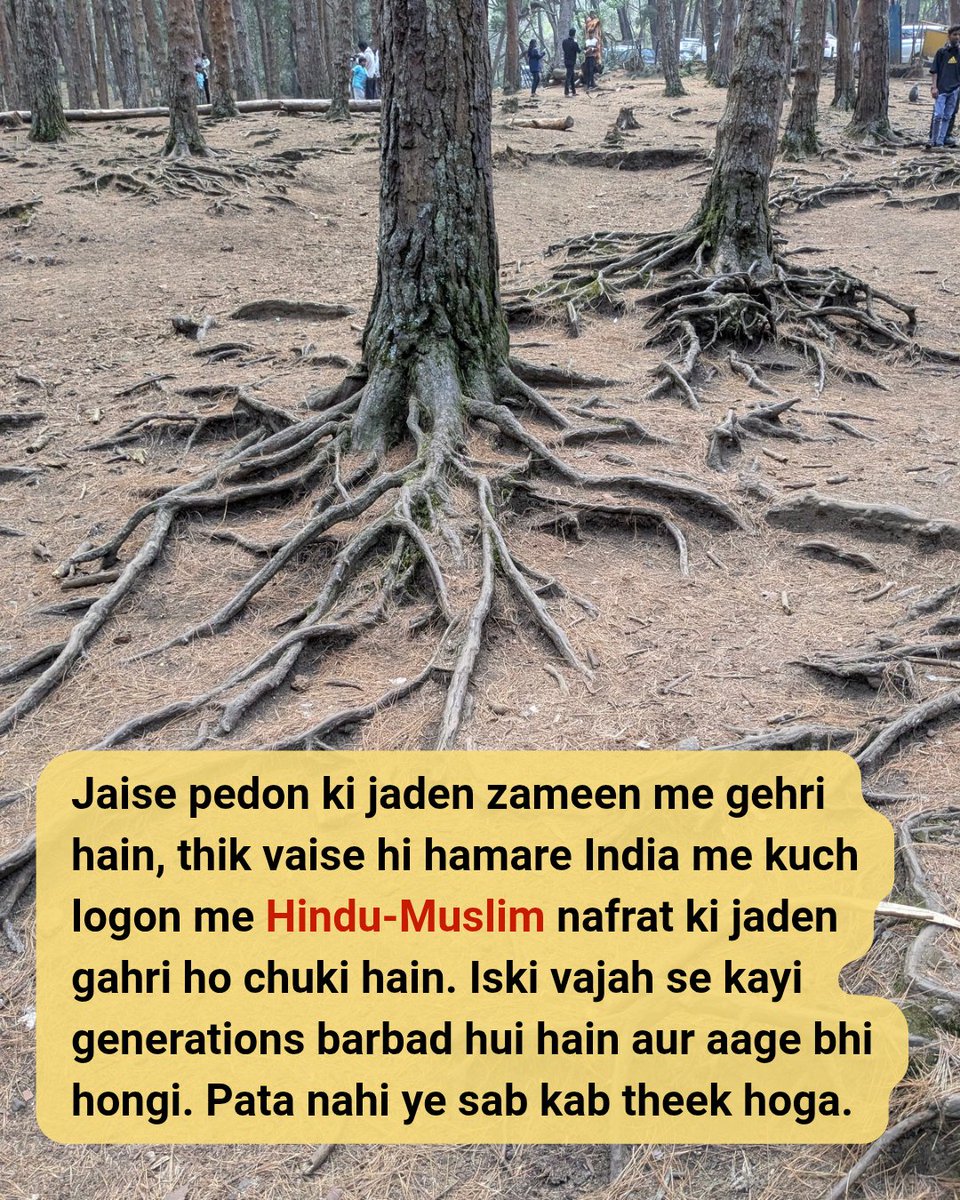 Jaydip_Patel_X's tweet photo. Pedon ki jaden zameen me gehri hain, 
aur nafrat ki logon ke dilon me...
.
.
#UnityInIndia #StopTheHatred #SocialHarmony #BetterFuture https://t.co/gcqvbA3II4