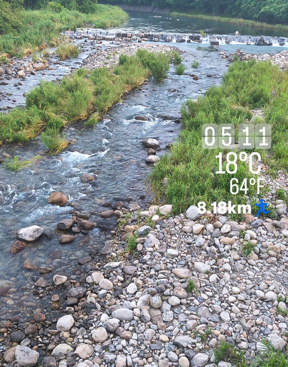 evo0501's tweet photo. おはよございます☀
もくよーモーニングも朝ラン🏃からスタート
貴重な梅雨の晴れ間、有効に活用したいよね。そんな本日は出張アリ、またまたヤマもアリ、やるべきことやって
さぁ〜行きましょか〜 https://t.co/fTCAzOztn6