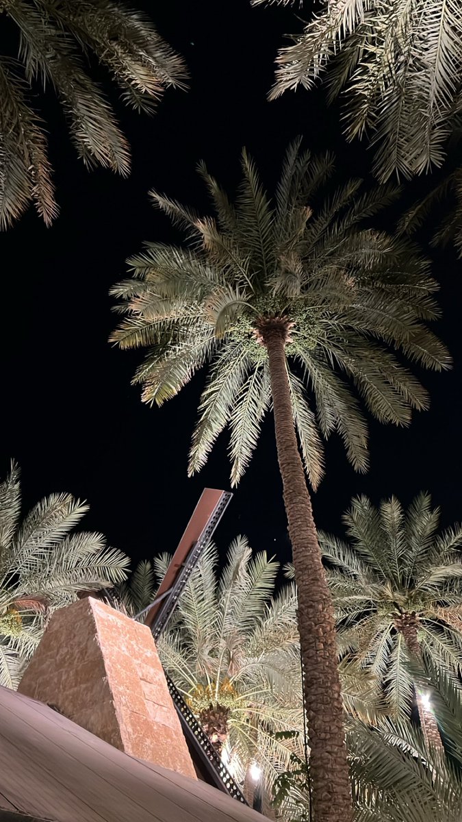 18_fa2's tweet photo. باريس نجد https://t.co/JUJCSlC1G4