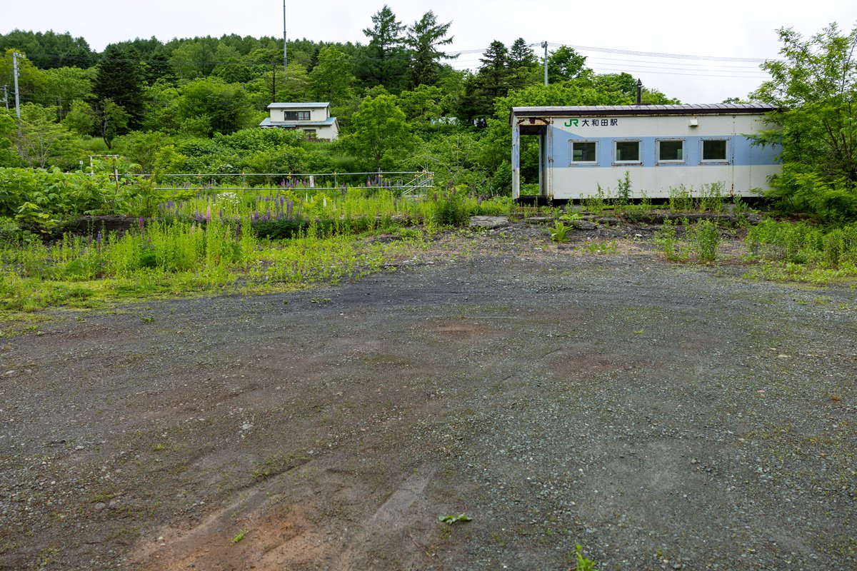 Bsindai's tweet photo. 一昨日、旧留萌本線大和田駅
当時とほとんど変わらないまま
残っています。
自然に帰りつつあります。 https://t.co/cN15MrkW25