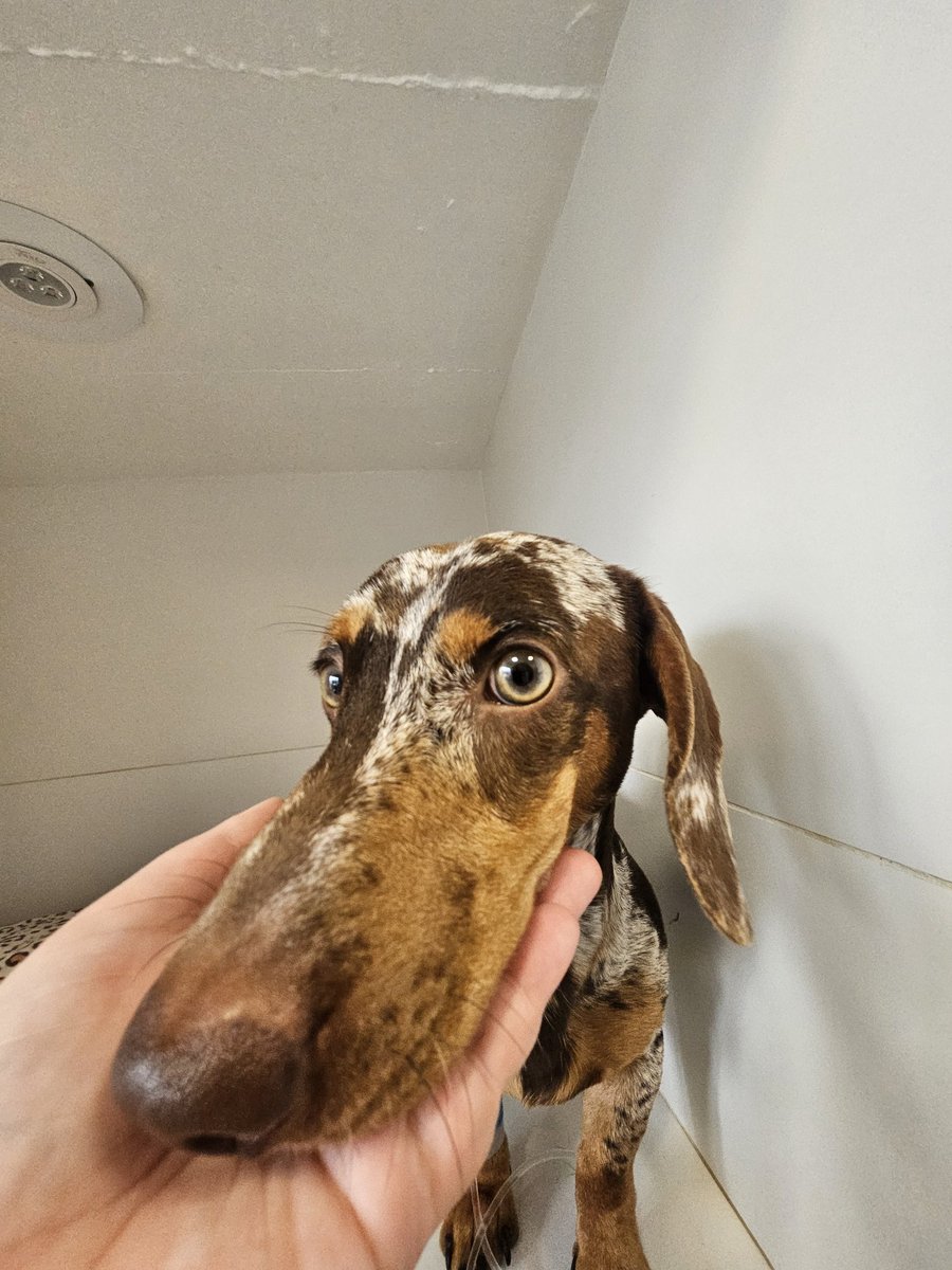 llwermuth's tweet photo. é o que me faz feliz kkkkk https://t.co/Q6XZd5Ofh1