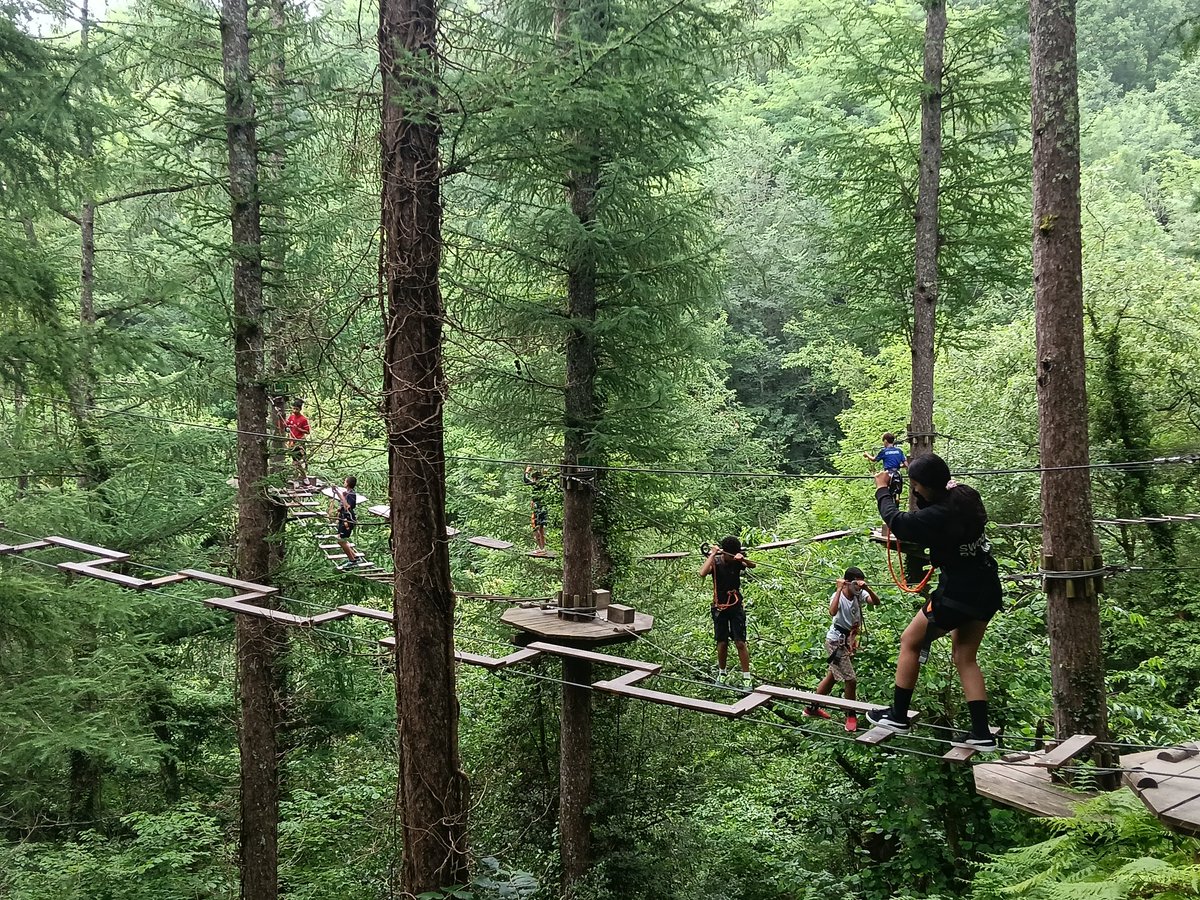 iesocastejon's tweet photo. 🌳🌳El alumnado de 1º ESO del @iesocastejon disfrutó de una jornada increíble en Irrisarri Land entre arborismo, tirolinas y naturaleza 🧗‍♀️🌿
¡Diversión, aprendizajes, equipo y conexión con la naturaleza! Una increíble forma de finalizar el curso 🤩🥳
#juntxs #Naturaleza https://t.co/5aXZOtYlQu