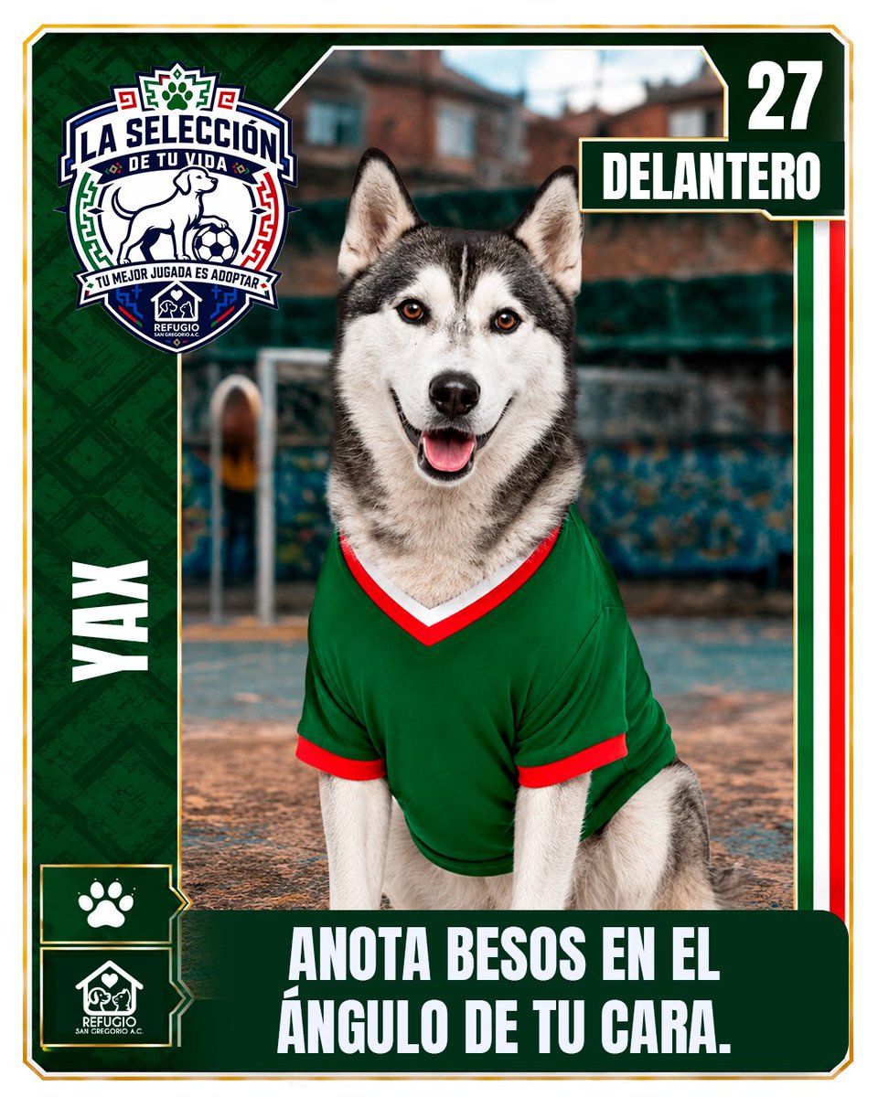 GregorioRefugio's tweet photo. @AztecaDeportes El partido más importante es el que juegas todos los días en casa 🐾⚽

#LaSeleccionDeTuVida tiene a sus mejores fichajes esperando encontrar un hogar donde ver cada tiempo contigo 🏠🐶🐱

Conoce a todo el equipo en https://t.co/LNQuLsZq64 https://t.co/QUPY2jVrC8