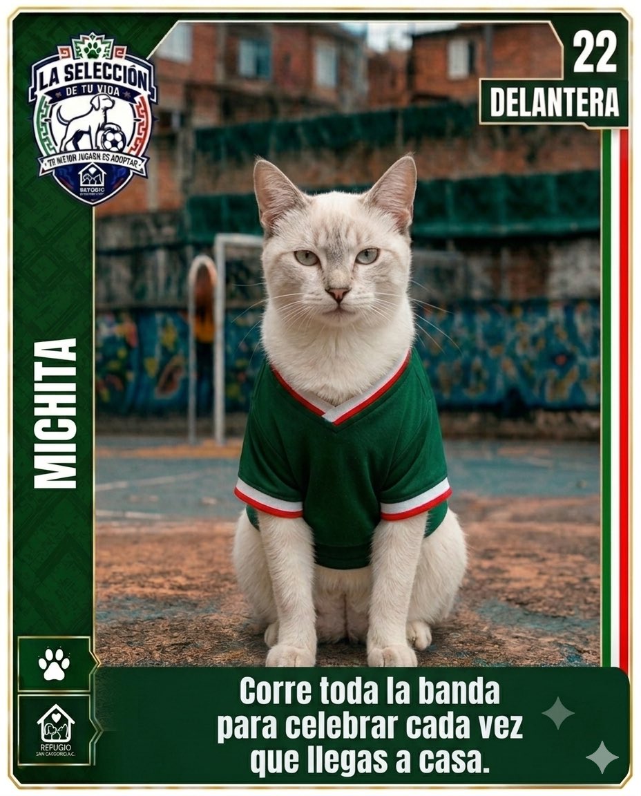 GregorioRefugio's tweet photo. @AztecaDeportes El partido más importante es el que juegas todos los días en casa 🐾⚽

#LaSeleccionDeTuVida tiene a sus mejores fichajes esperando encontrar un hogar donde ver cada tiempo contigo 🏠🐶🐱

Conoce a todo el equipo en https://t.co/LNQuLsZq64 https://t.co/QUPY2jVrC8