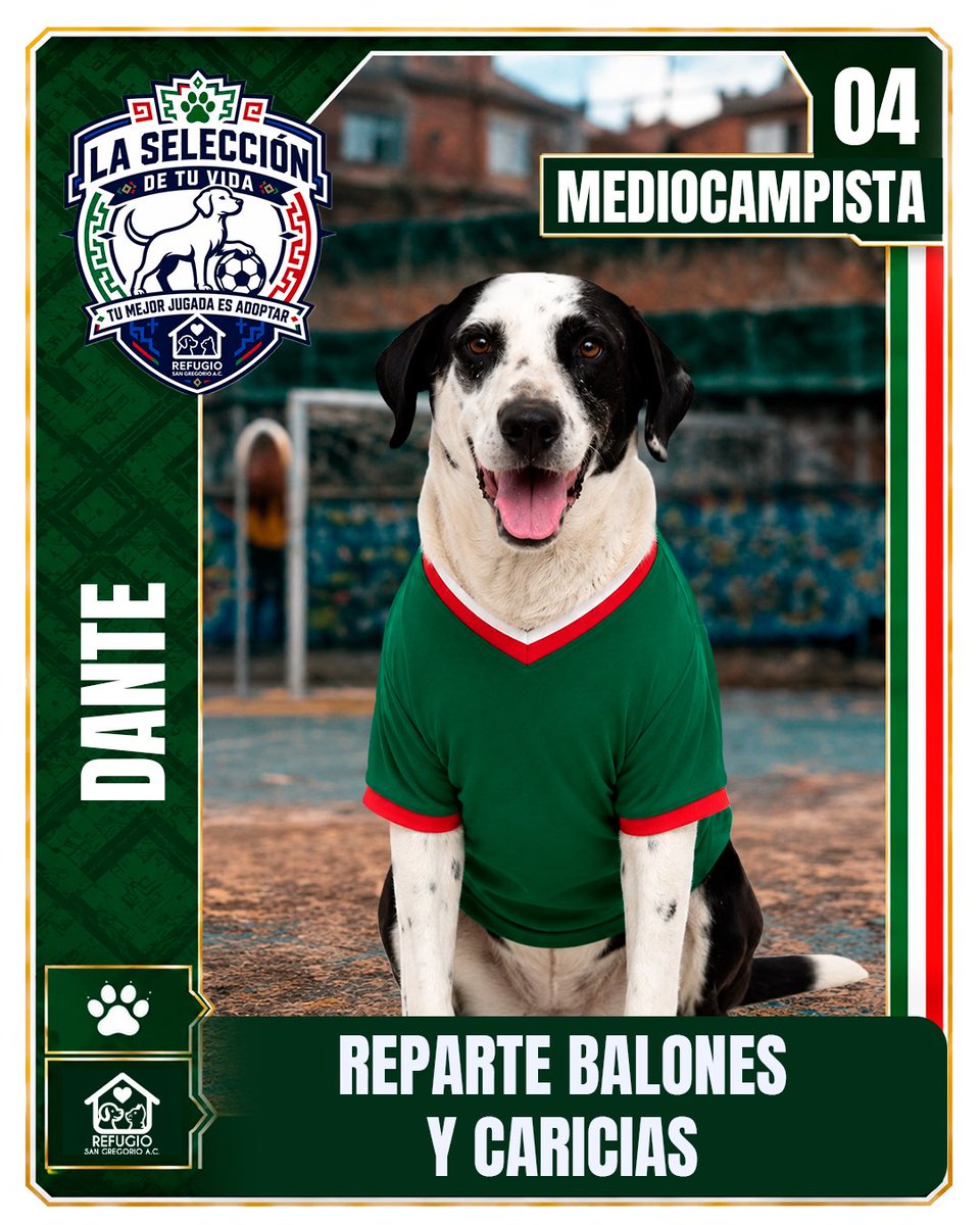 GregorioRefugio's tweet photo. @AztecaDeportes El partido más importante es el que juegas todos los días en casa 🐾⚽

#LaSeleccionDeTuVida tiene a sus mejores fichajes esperando encontrar un hogar donde ver cada tiempo contigo 🏠🐶🐱

Conoce a todo el equipo en https://t.co/LNQuLsZq64 https://t.co/QUPY2jVrC8