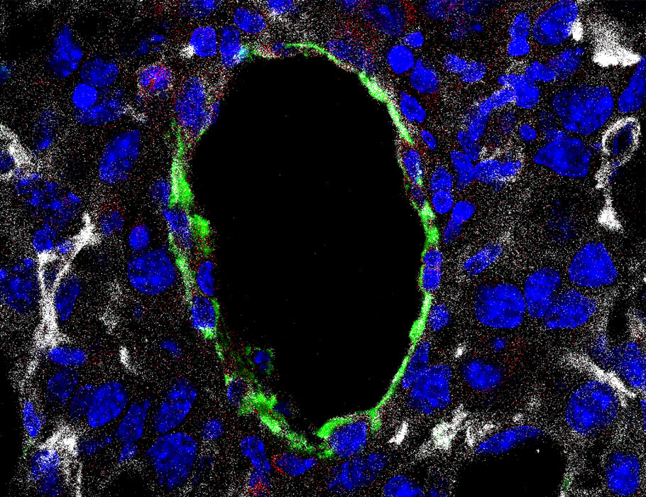 ScienceMagazine tweet picture